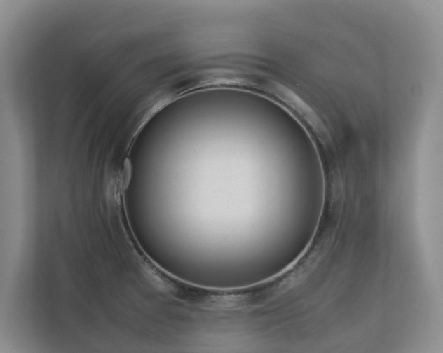 X0000112731377200908201317