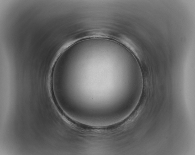 X0000112731379200908201317