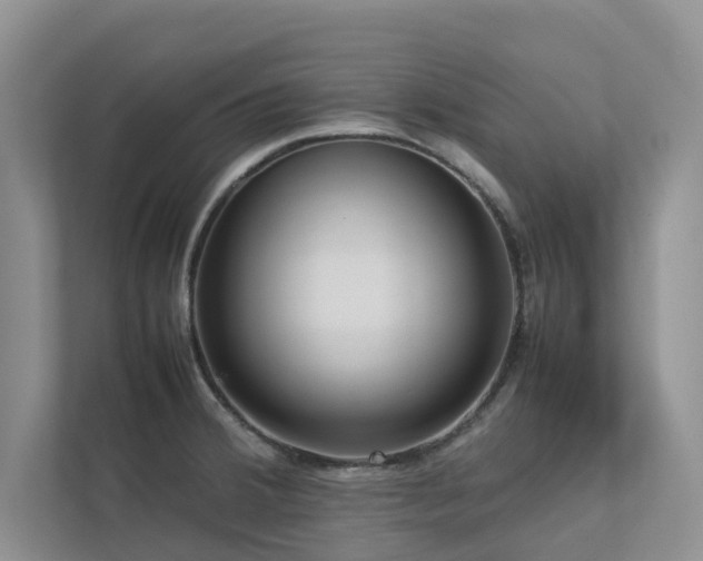 X0000112731380200908201317