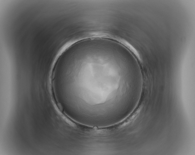 X0000112731381200908201317