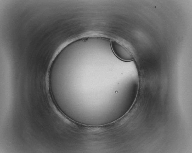 X0000112731382200908201317