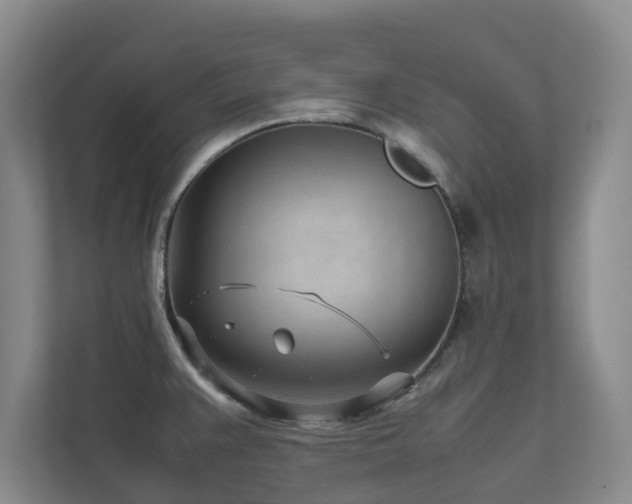 X0000112731383200908201317