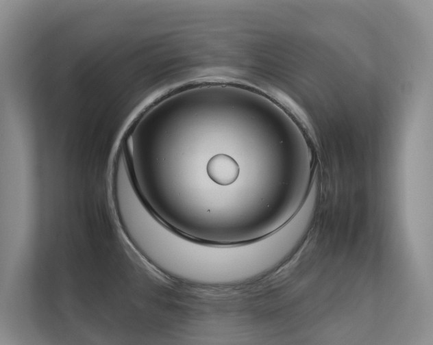 X0000112731384200908201317