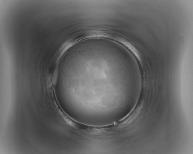 X0000112731385200908201317