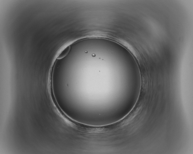 X0000112731387200908201317