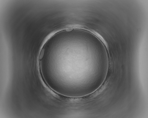 X0000112731389200908201317