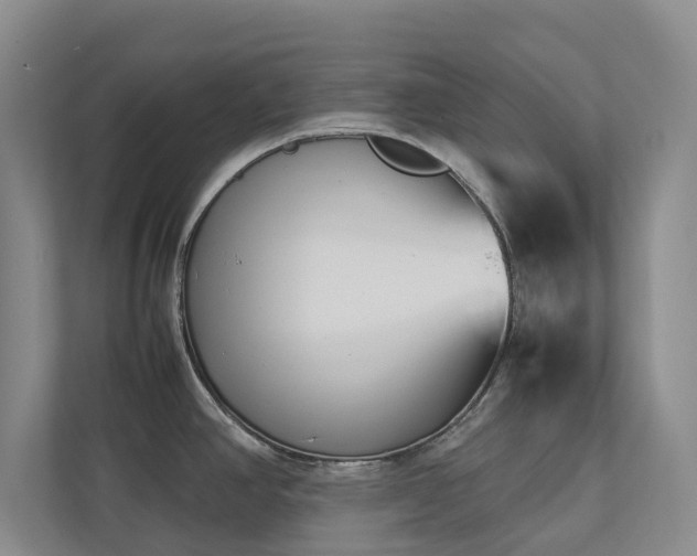 X0000112731390200908201317