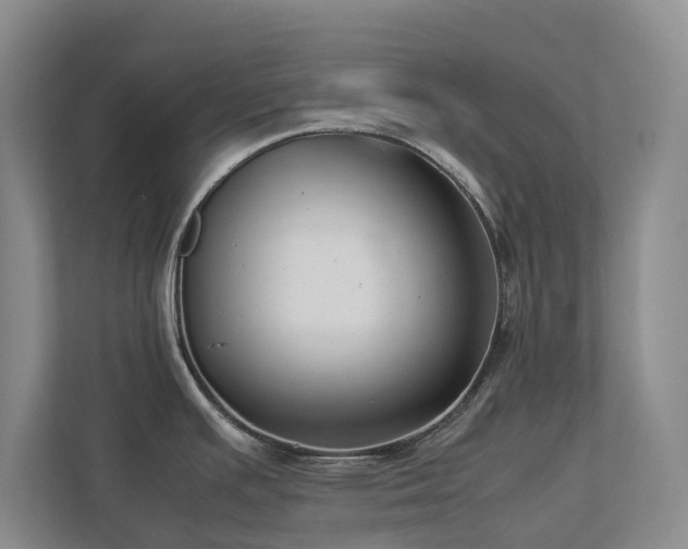 X0000112731391200908201317