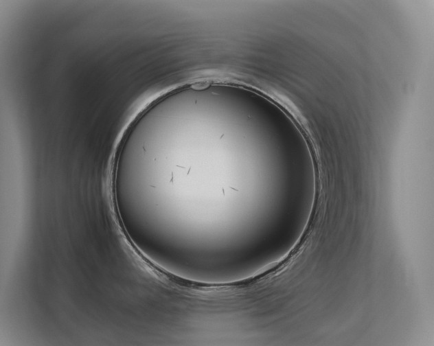 X0000112731392200908201317