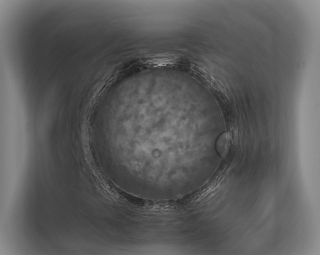 X0000112731393200908201316