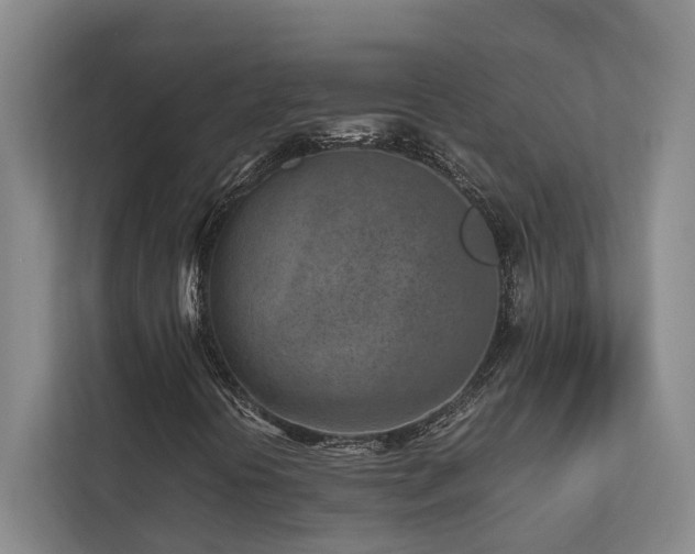 X0000112731394200908201316