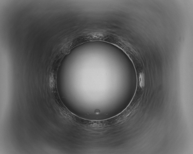 X0000112731395200908201316