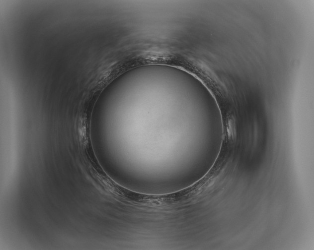 X0000112731396200908201316