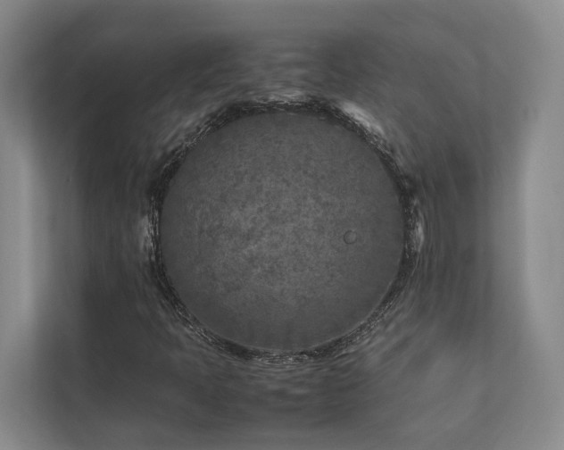 X0000112731397200908201316