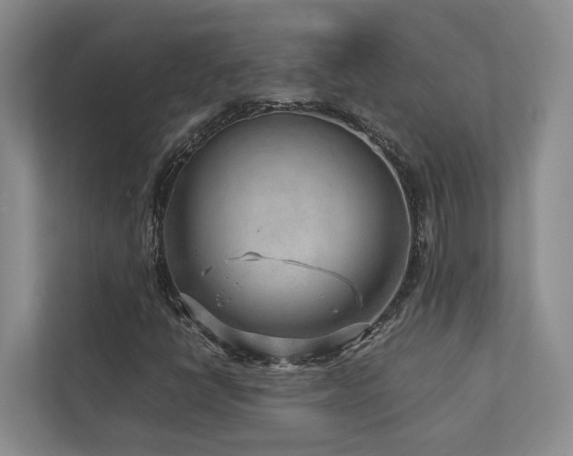 X0000112731398200908201316