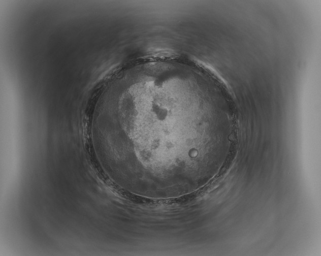 X0000112731399200908201316