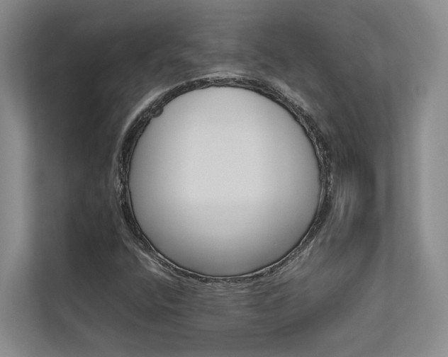 X0000112731400200908201316