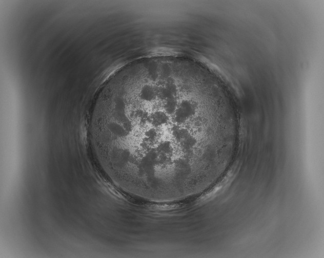 X0000112731401200908201316