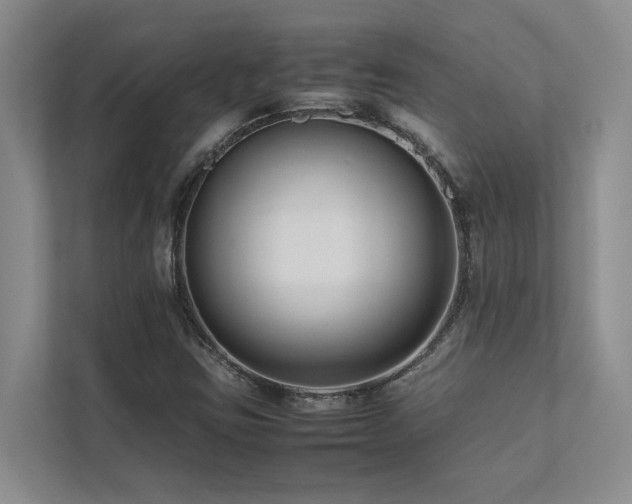 X0000112731403200908201316