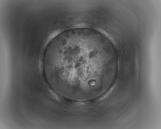 X0000112731405200908201316