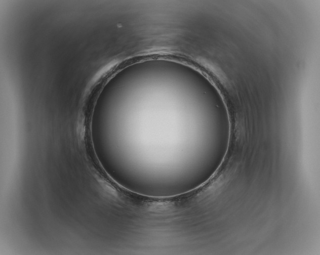 X0000112731406200908201316