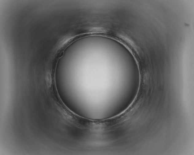 X0000112731407200908201316