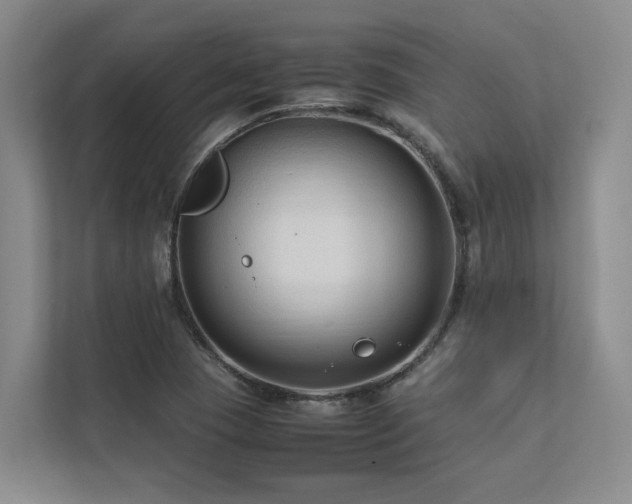 X0000112731409200908201316