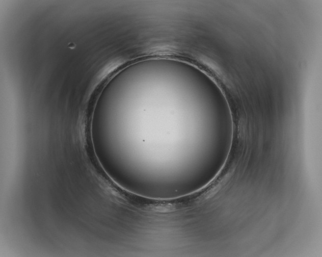 X0000112731410200908201316