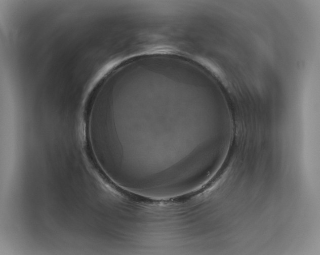 X0000112731414200908201316