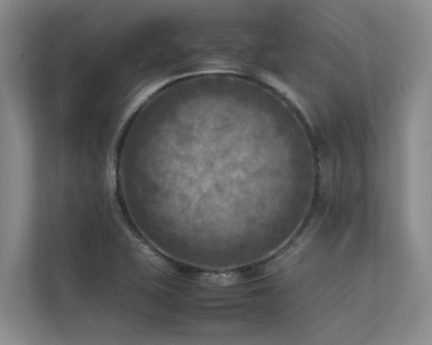 X0000112731415200908201316