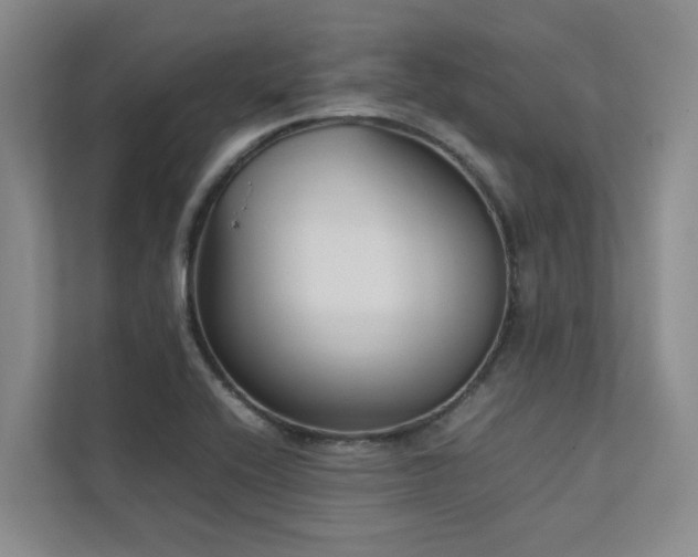 X0000112731416200908201317