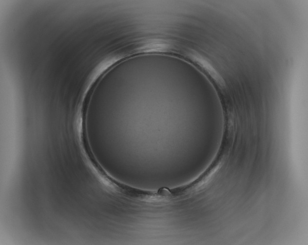 X0000112731418200908201317