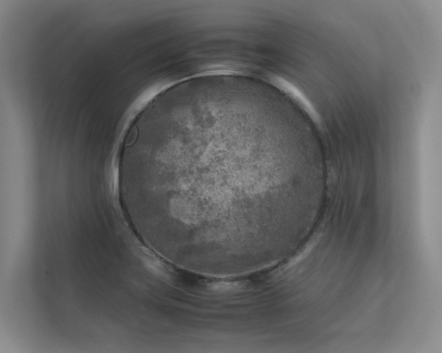 X0000112731419200908201317