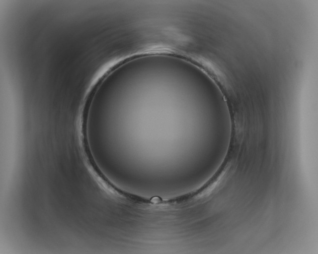 X0000112731422200908201317