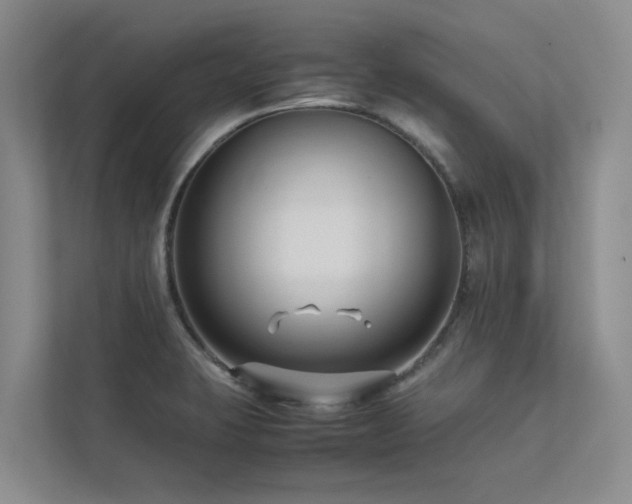 X0000112731423200908201317