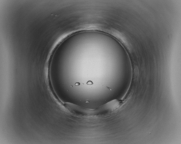 X0000112731424200908201317