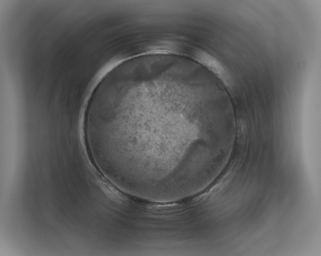 X0000112731427200908201317