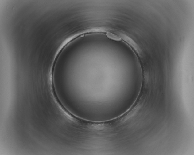 X0000112731428200908201317