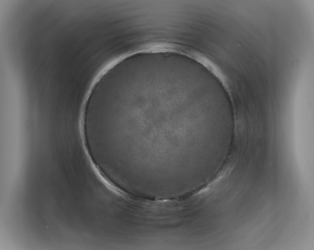 X0000112731429200908201317