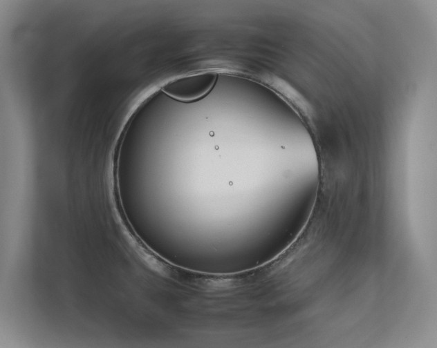 X0000112731431200908201317