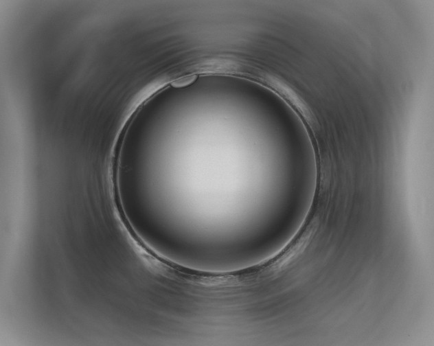 X0000112731434200908201317