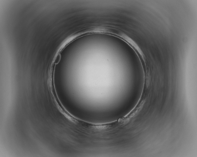 X0000112731437200908201317