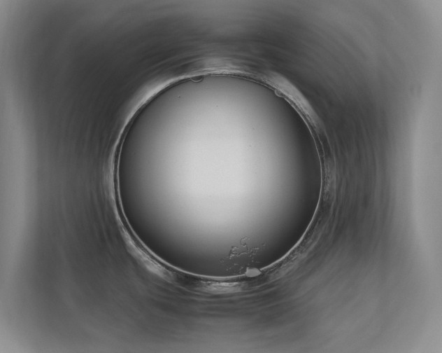 X0000112731439200908201317