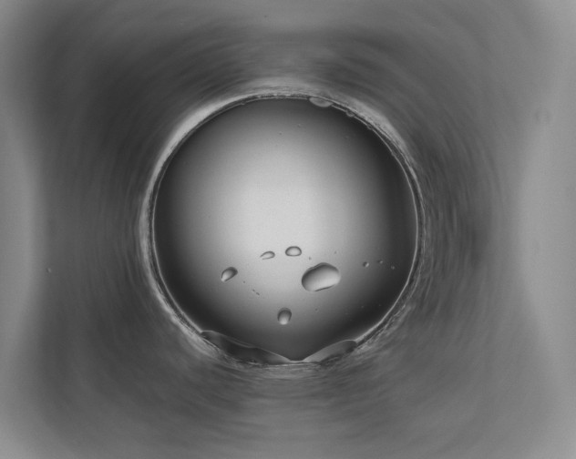 X0000112731440200908201317