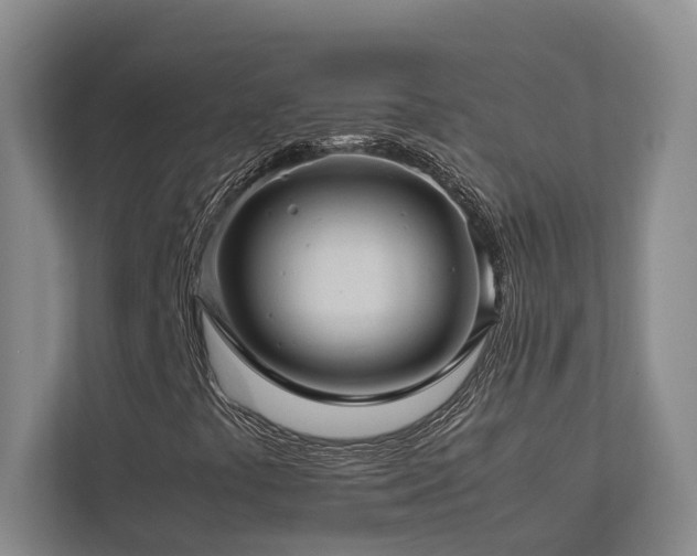 X0000112731441200908201316