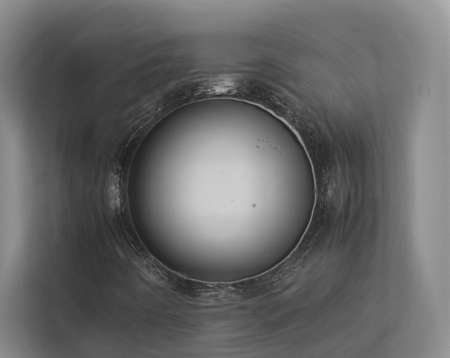 X0000112731442200908201316