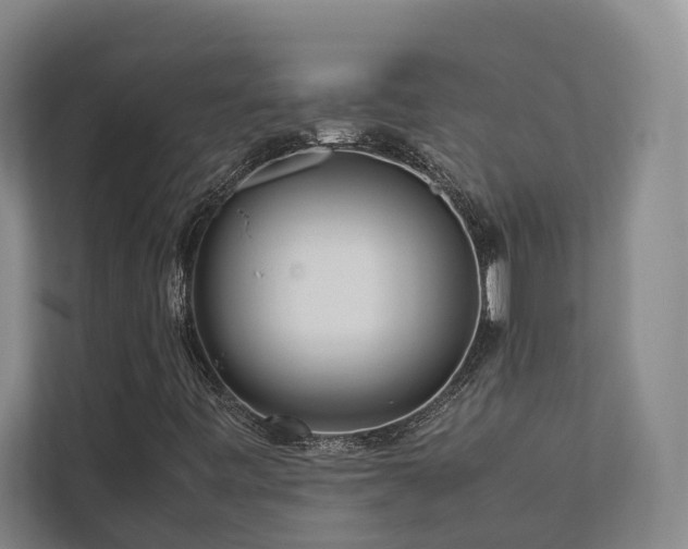 X0000112731443200908201316