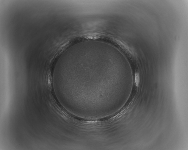 X0000112731444200908201316