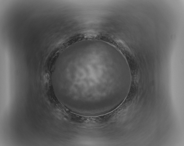 X0000112731445200908201316