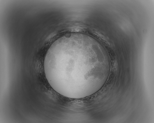 X0000112731446200908201316